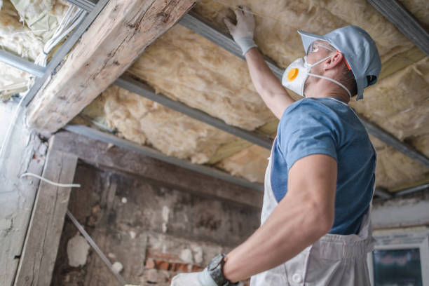 Types of Insulation We Offer in Heron Bay, GA