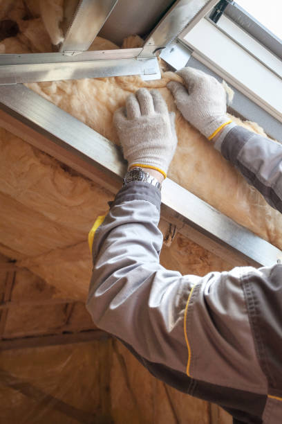 Best Geographic-Specific Insulation Services in Heron Bay, GA