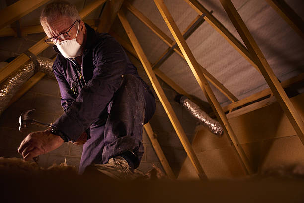 Best Specialized Insulation Services in Heron Bay, GA